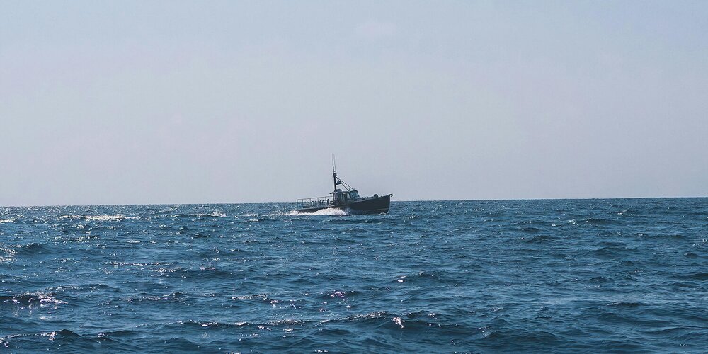 UK Government Proposes Extension of Bottom Trawling Ban to Protect Marine Life