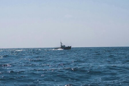 UK Government Proposes Extension of Bottom Trawling Ban to Protect Marine Life
